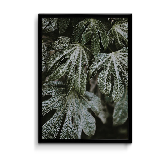 Plakat Liście #3  Bury Lis