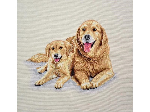 poduszki z grafiką Poduszka ozdobna Golden Retriever