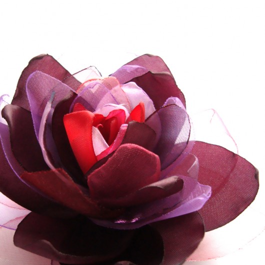 śliweczkowa SundayRose