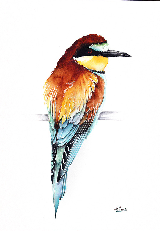 ŻOŁNA - plakat, reprodukcja 30x40cm Karolina Kijak