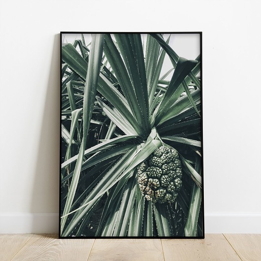 plakaty Plakat Owoc Juki