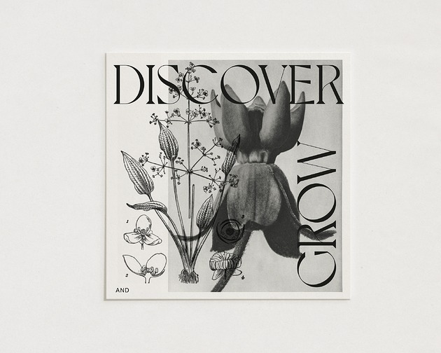 plakaty Discover&grow / Oryginalna grafika / poster print / Gicl