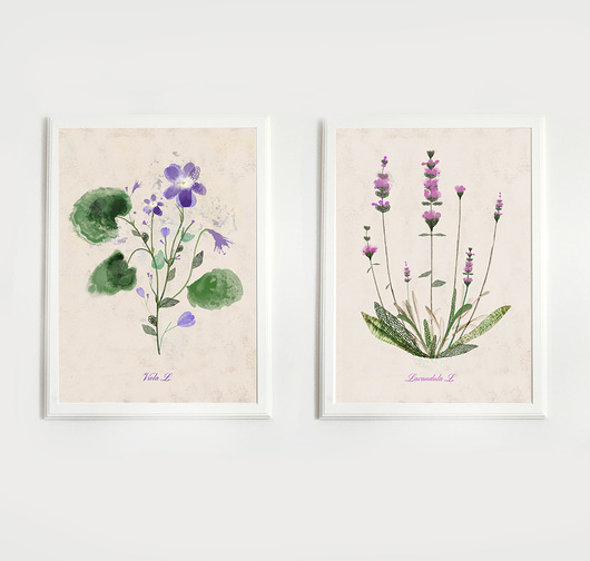 2 ilustracje botaniczne | A4 Anita Tomala