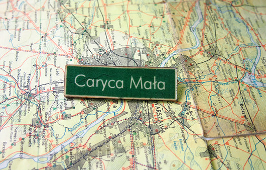 Broszka Miasto Caryca Mała Made in Forest