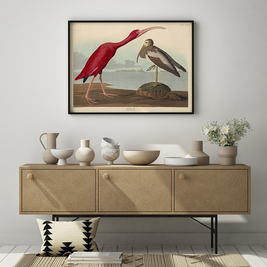 grafiki i ilustracje Plakat poziomy z Ibisem w stylu retro