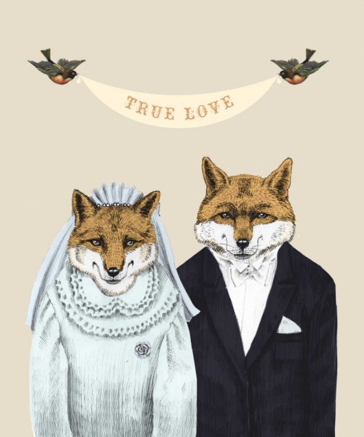 seria true love fox Tiri riri