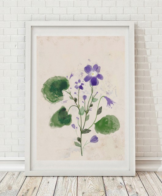 Fiołek | ilustracja botaniczna A4 Anita Tomala