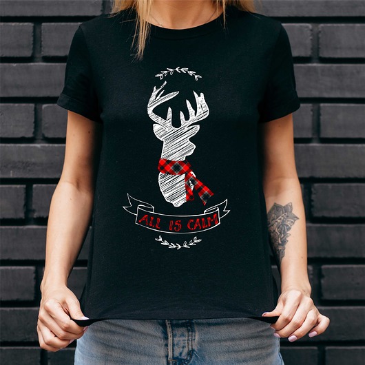 t-shirt damskie Koszulka damska organiczna All is calm