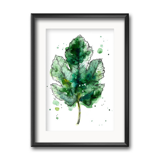 grafiki i ilustracje Listek figowy, 30x21 cm, A4