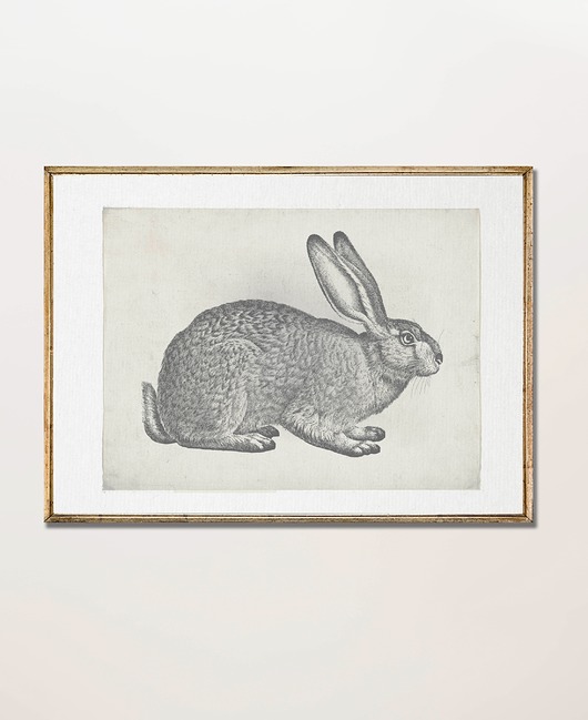 plakaty Plakat Zając Grafika szkic 2