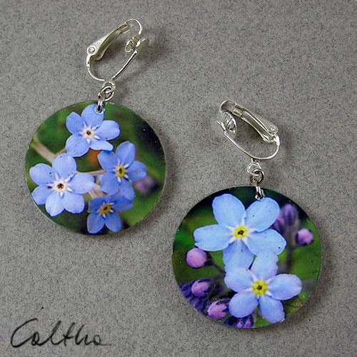 niezapominajki Caltha