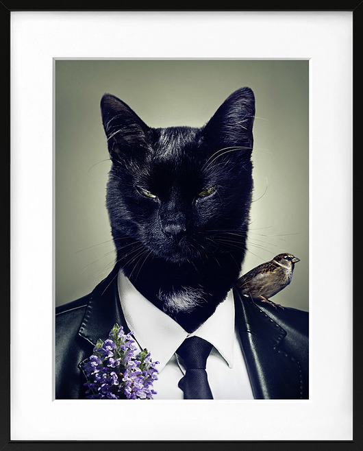 plakaty PLAKAT autorski Pan Kotek
