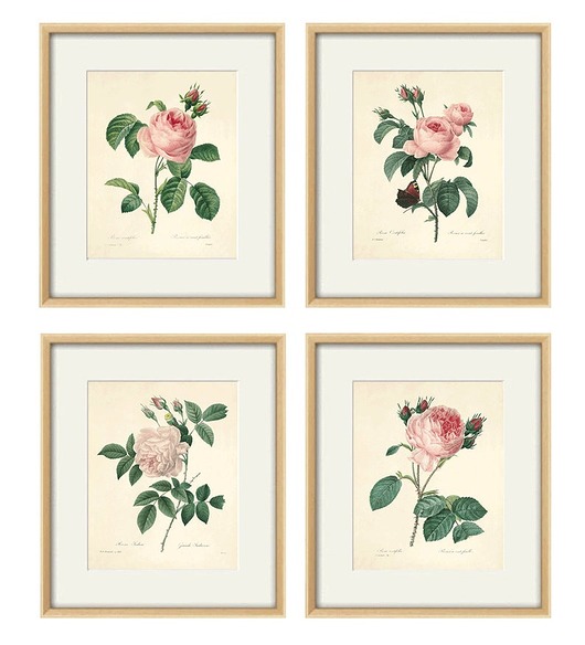 grafiki i ilustracje Rysunek kwiaty grafika motywy kwiatowe róże