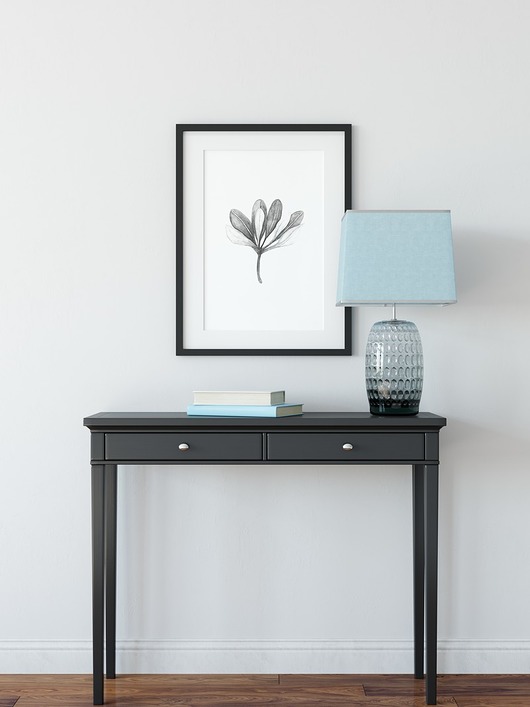 Plakat skandynawski botaniczny Roślina myscandi