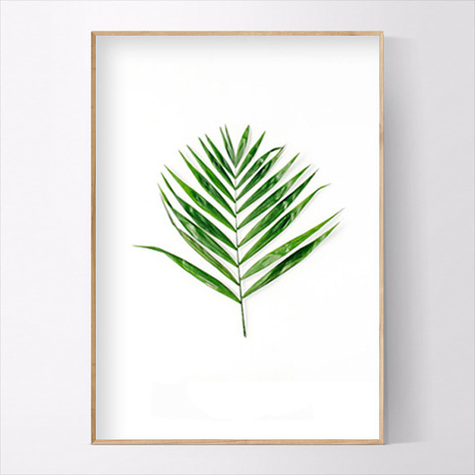 Plakat Zielony liść palmy MUKKO