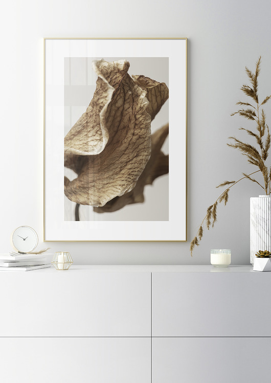 plakaty Plakat botaniczny z liściem