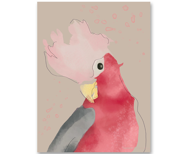 obrazy i plakaty do pokoju dziecięcego Plakat dziecięcy  Różowa Papuga ( Pink Parrot )