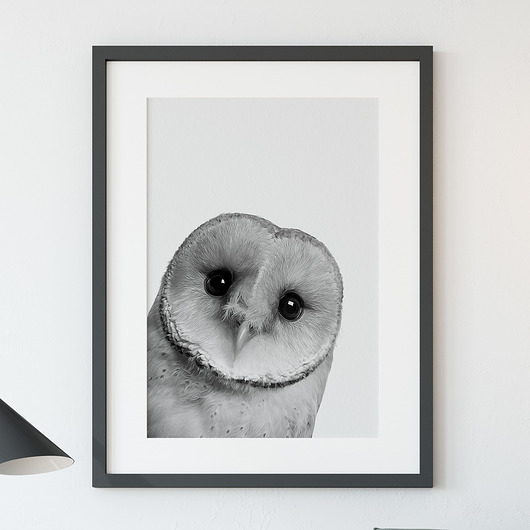 Plakat Sowa - 50x70cm ScandiMyLove