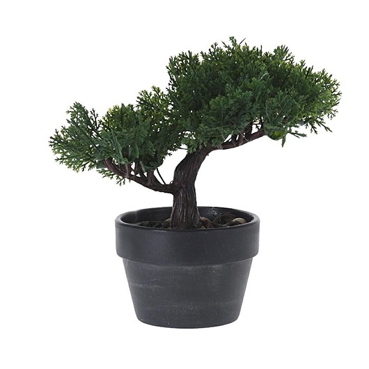 Drzewko Bonsai w Donicy 2 MIA home
