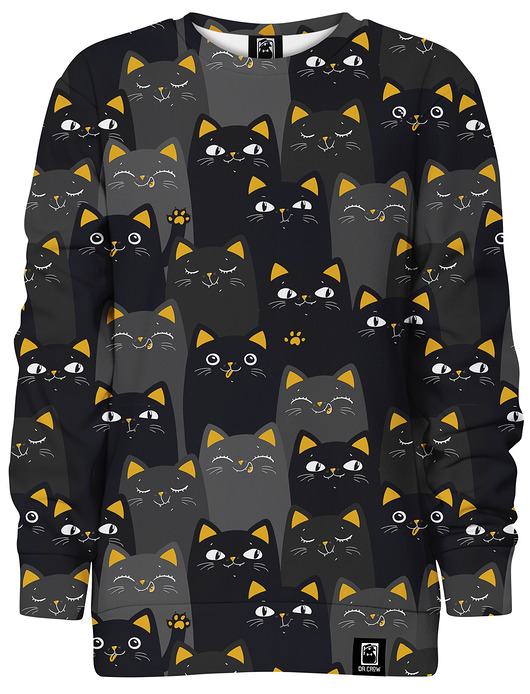 bluzy dla chłopców Bluza bez kaptura Chłopiec DR.CROW Cats Orange