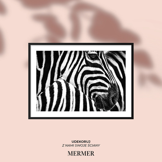 Zebra z boku,Plakat mermer