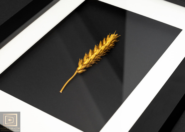 obrazy Złoty Kłos Pszenicy w Czarnej Ramie. Nowoczesny Obraz 3D