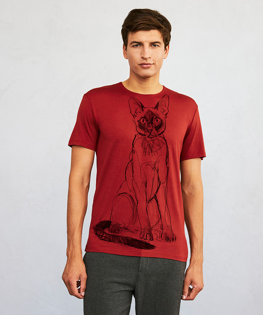 t-shirty męskie Siamese Cat Men's T-shirt marsala