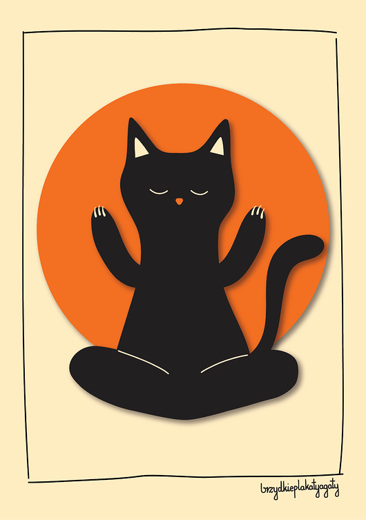 plakaty Plakat - Medytujący kotek