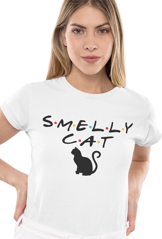 t-shirt damskie koszulka Friends Przyjaciele smelly cat