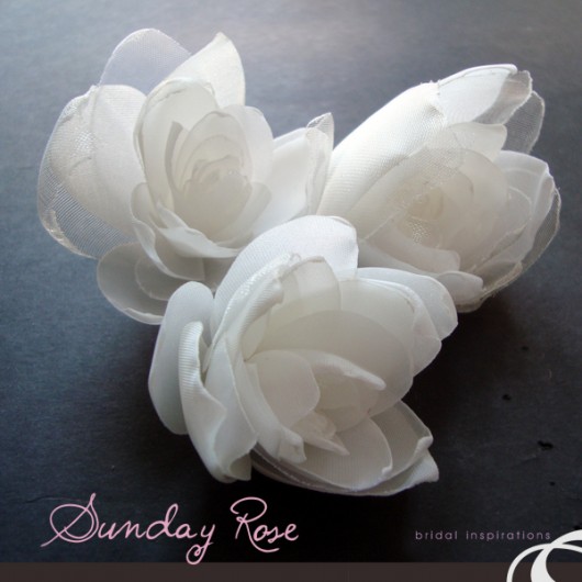 białe pąki _ kokówki SundayRose