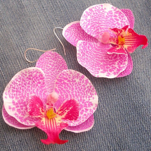 ORCHIDEALE na zamówienie ola