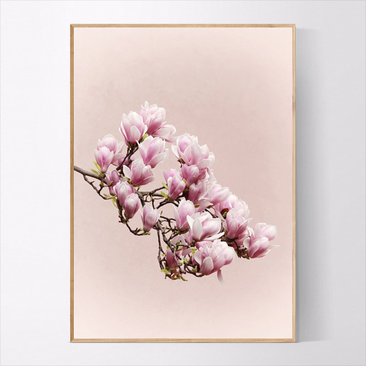 Plakat Gałązka magnolii MUKKO