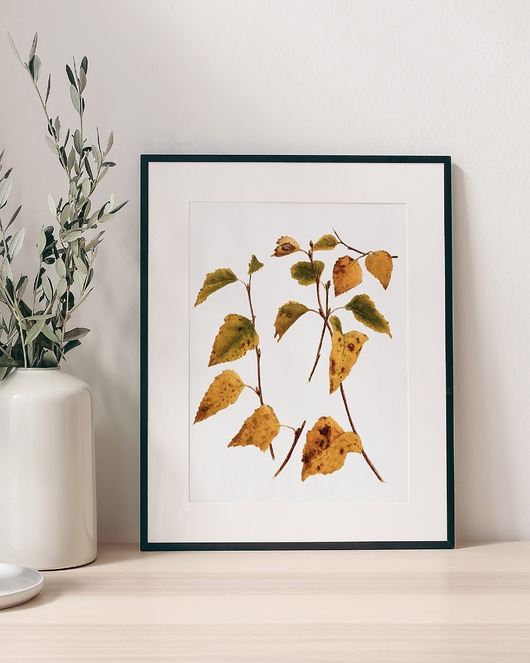 plakaty Plakat- Jesienna olcha