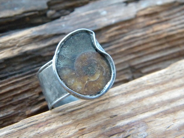 biżuteria męska Tempus terrae - amonit   - pierścień