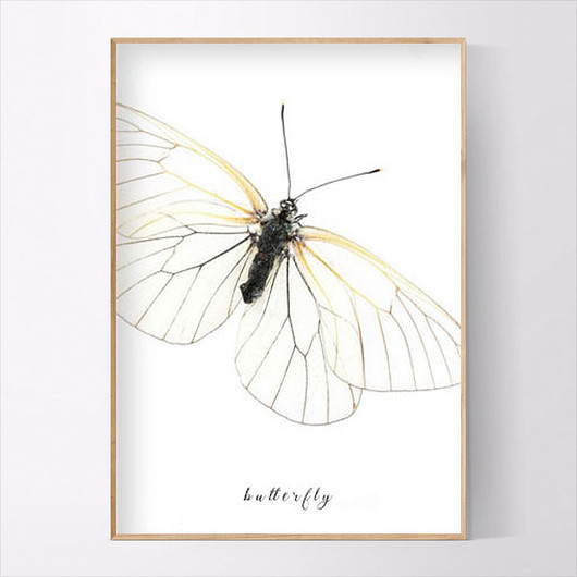 Plakat BUTTERFLY 40x50 CM MUKKO