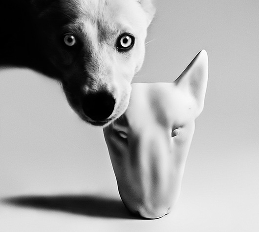 figurki i rzeźby Bull terrier  - akrylowa figurka - KUFA.design