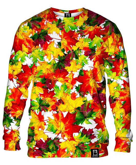 bluzy męskie Bluza Bez Kaptura Męska DR.CROW Autumn Leaves
