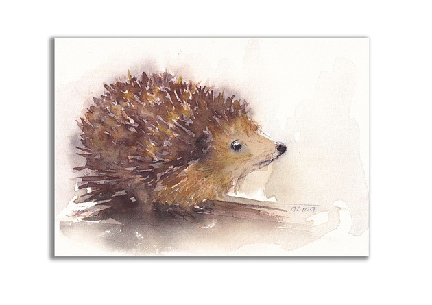 grafiki i ilustracje Jeż. Akwarela ręcznie malowana