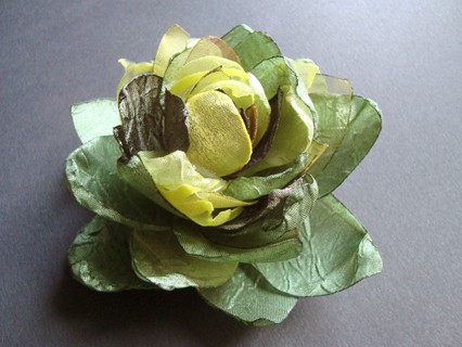 DELILA SundayRose