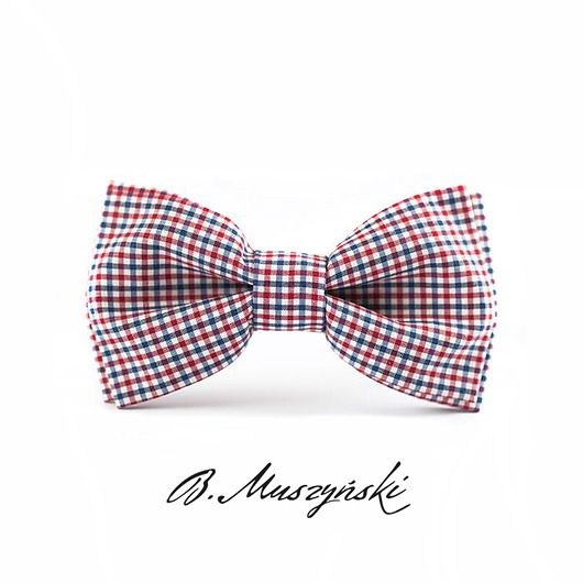 muszki i krawaty Mucha W KRATKĘ