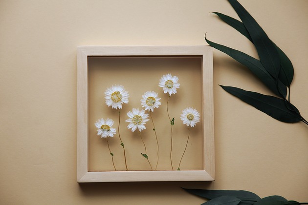 Szklany obraz z Rodanthe Plantsonwall