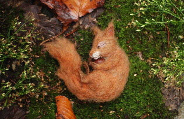misie i maskotki Śpiąca Wiewiórka