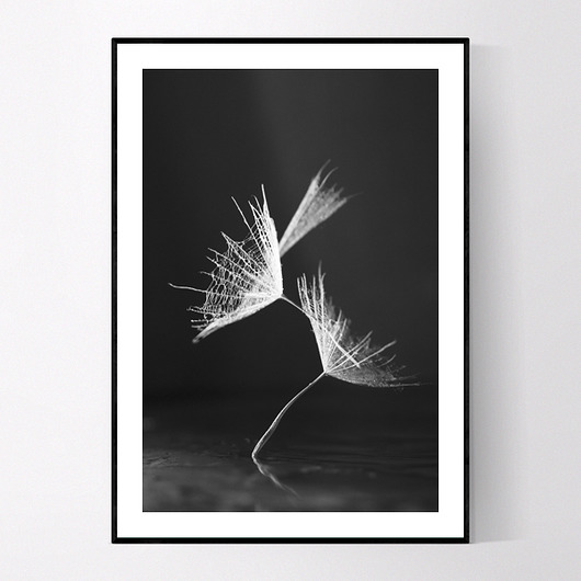 Plakat MNISZEK MUKKO