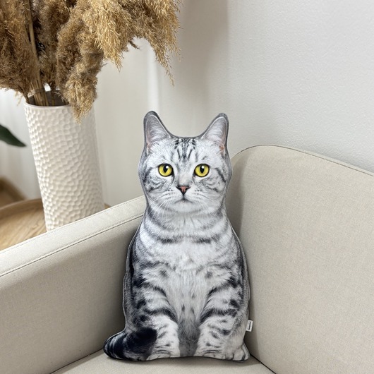 poduszki z grafiką Poduszka Dekoracyjna Kot Domowy Pręgowany Srebrzysty Jasny Szary