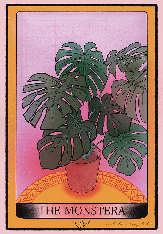 plakaty Plakat The  Monstera