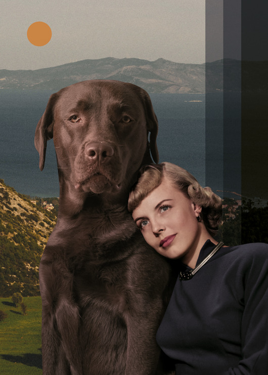 plakaty Plakat Najlepszy psyjaciel (kolaż)