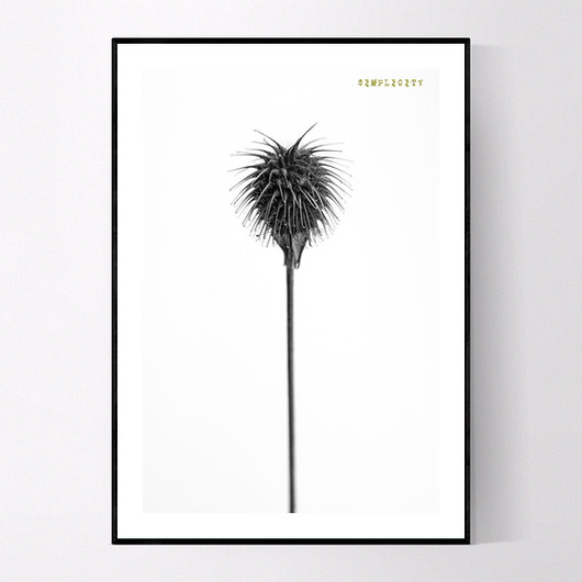 Plakat SIMPLICITY 21x30 CM MUKKO