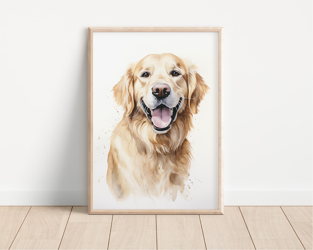 plakaty Plakat golden retriever