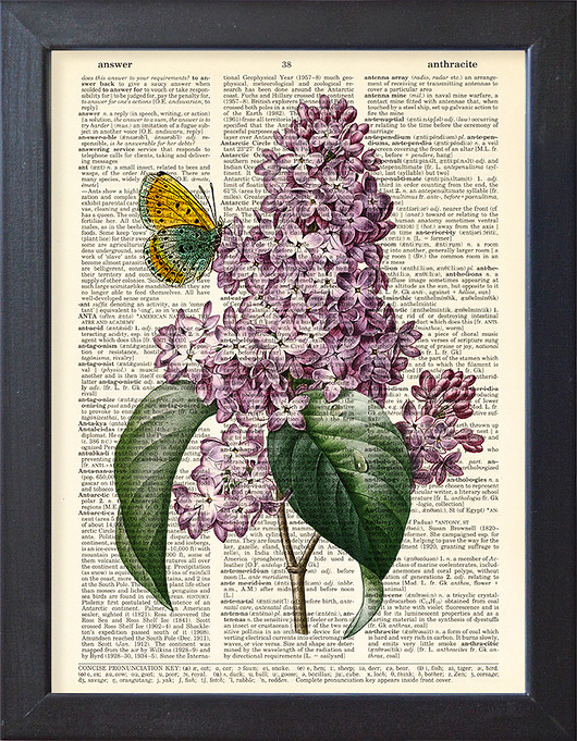Plakat, grafika, ilustracja, kwiat bzu i motyl nkcraftstudio