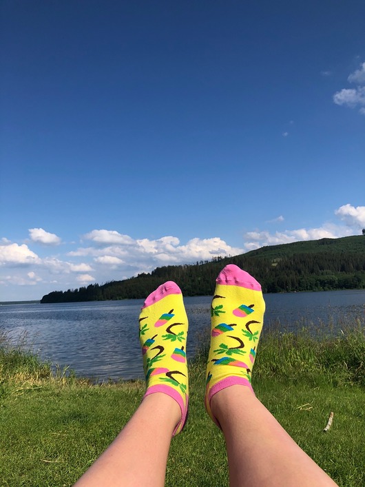 Ice creams socks RollingSox